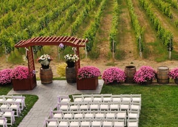 An aerial view of a vineyard wedding venue