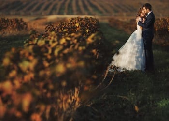 A bride and groom embracing in a vineyard estate during their wedding day celebrations